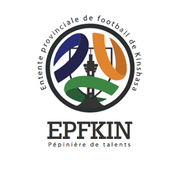 Descrizione dell'immagine EPKIN2019.png.
