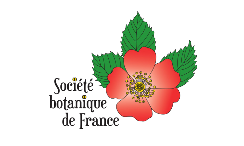 Fichier:Logo SBF.png