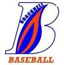 Bracknell Blazer Logo