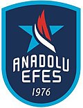 Vignette pour Anadolu Efes Spor Kulübü