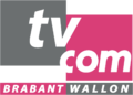 Ancien logo de TV Com de 1994 à 2012