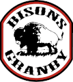 Logo des Bisons de 1985 à 1991