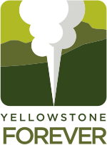 Vignette pour Yellowstone Forever