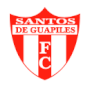 Vignette pour Asociación Deportiva Santos de Guápiles