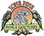 Illustratieve afbeelding van het artikel Lone Pine Koala Sanctuary