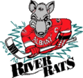 Vignette pour River Rats d'Albany