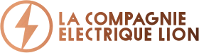 Logo van Lion Electric Company