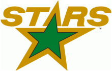 Logo des North Stars du Minnesota 1991.png