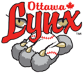 Vignette pour Lynx d'Ottawa