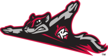 Richmond Flying Squirrels logo.png