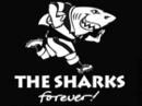 Natal Sharks logo