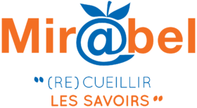 Mir @ bel logo