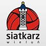 Vignette pour Siatkarz Wieluń