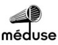 medusa logo (2011-2015)