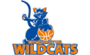 Logo Wolfenbüttel Wildcats