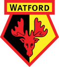 Vignette pour Watford Football Club