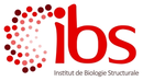 Logo Institut de biologie structurale - Grenoble.png