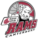 Christchurch Cougars-logo