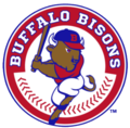 Vignette pour Bisons de Buffalo (IL)