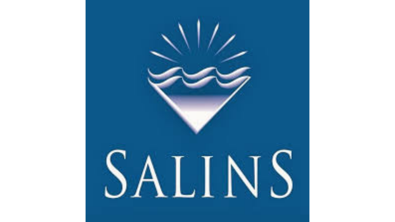 Fichier:Logo-Salins.png