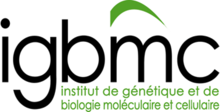 IGBMC 2012 logo.png