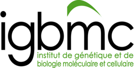 IGBMC 2012 logo