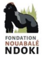 Logo-Nouabalé-Ndoki.png