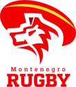 Description de l'image Logo Montenegro Rugby 2022.png.