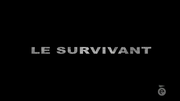 Vignette pour Le Survivant (émission de télévision)