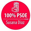 % 100 PSOE Logo.jpg