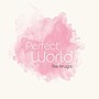 Vignette pour Perfect World (manga)