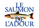 Image illustrative de l’article Saumon de l'Adour
