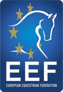 Logo EEF.png
