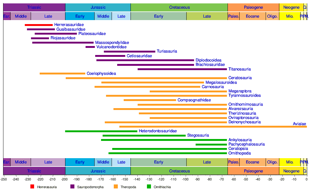 Des sauropodes découverts en Chine - Sciences et Avenir