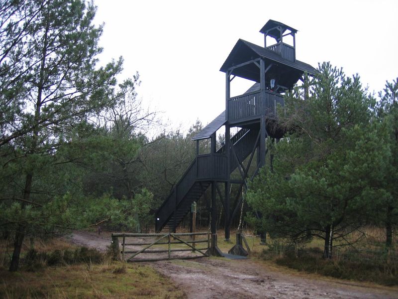 Ofbyld:800px-Uitkijktoren Doldersummerveld.jpeg