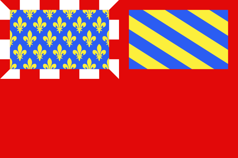 Ofbyld:Flagge fan Dijon.png