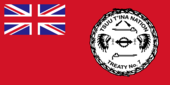 Flagge fan de Sarsy Naasje.PNG