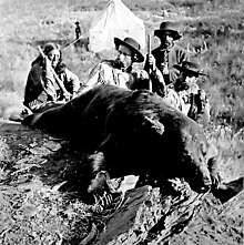 Custer's Bear.jpg