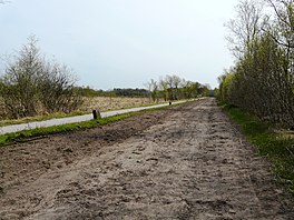 De Ald Hearrewei rint troch de Liphústerheide