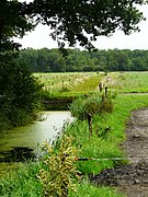 De Alde Wyk, neist it Aldhôf, sjoen yn de rjochting fan Heidehuzen