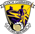 Thumbnail for CLG Chontae Loch Garman