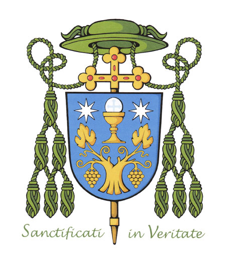 Ficheiro:Escudo episcopal da diocese de Lugo.jpg