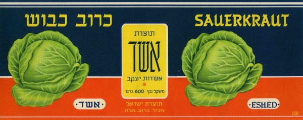 קובץ:Eshed.cabbage.jpg