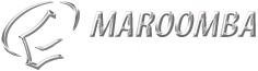 Maroomba AirlinesLogo.png