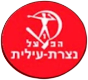 קובץ:Nazilit2017-2019Crest.png