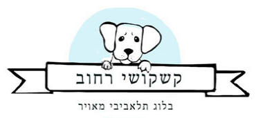 קובץ:קשקושי רחוב.png