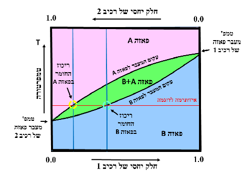 קובץ:דיאגרמת פאזות של מסיסות מלאה.png