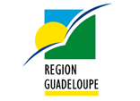 Region guadeloupe flag.png