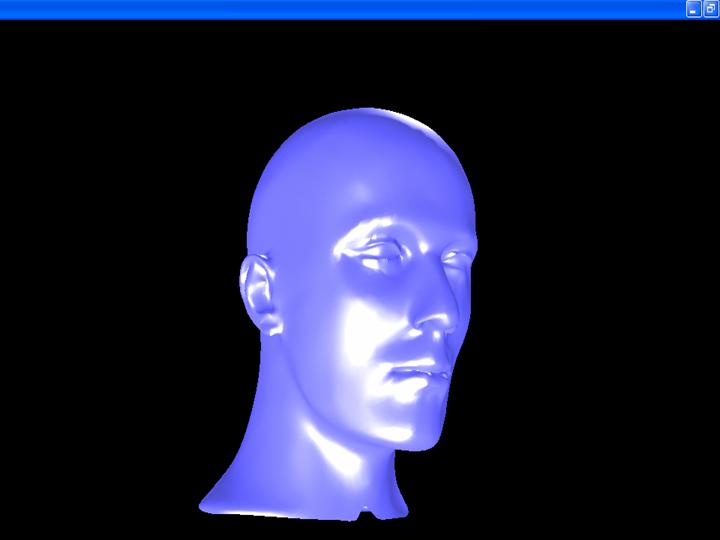 קובץ:Head3d.jpg