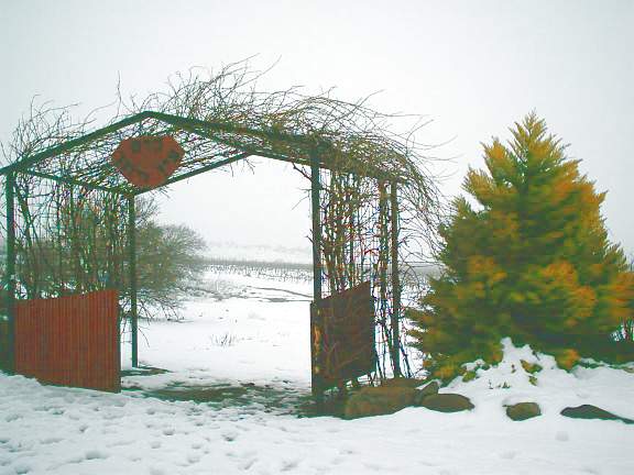 קובץ:Vinyard snow gate.JPG
